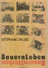 Bayerische Bauern_1