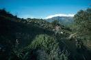Kreta_7